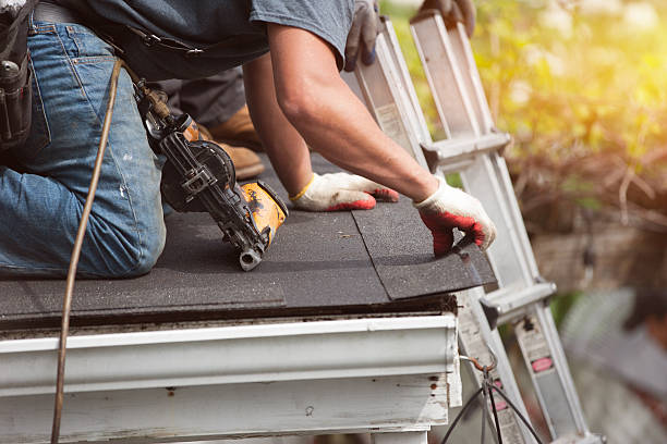 Best Metal Roofing Contractor  in Greybull, WY