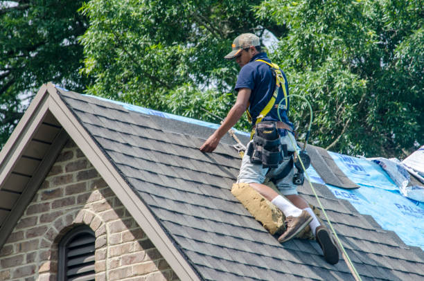 Best Gutter Installation and Roofing  in Greybull, WY